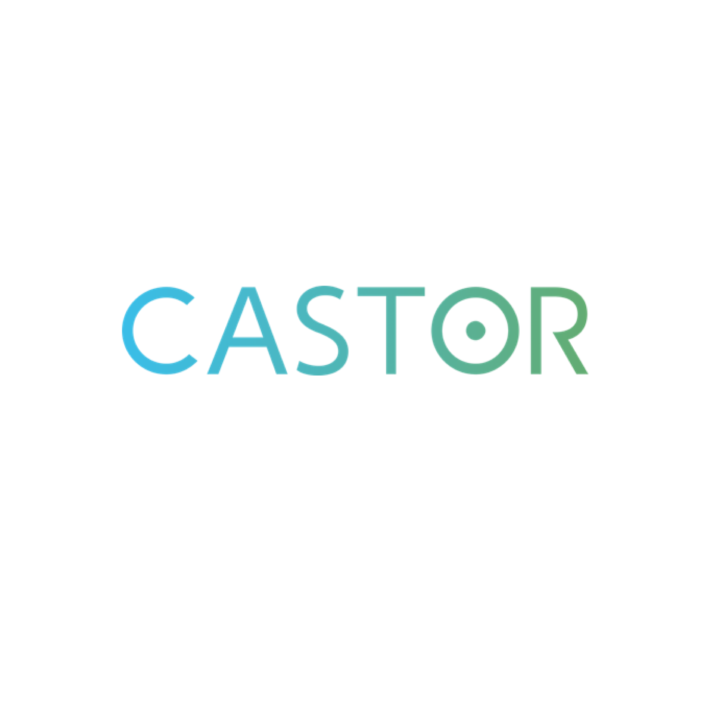 3dcastor